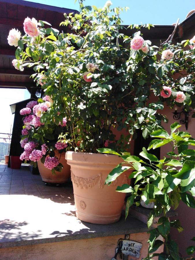 La Fenice Montefiascone Exterior photo
