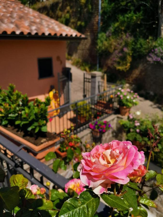La Fenice Montefiascone Exterior photo